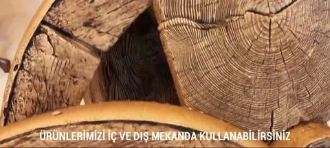 Ağaç gövdesi kesitinde yıllık halkalar yakından gösteriliyor